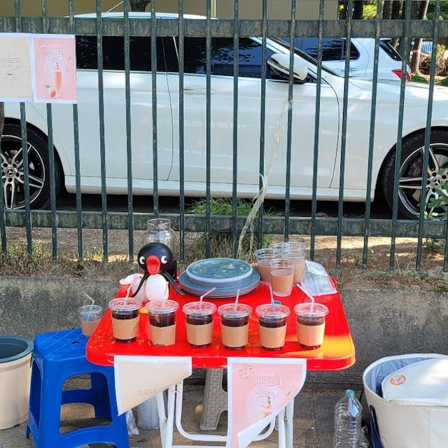 배제대 수요커피전도